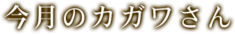 今月のカガワさん